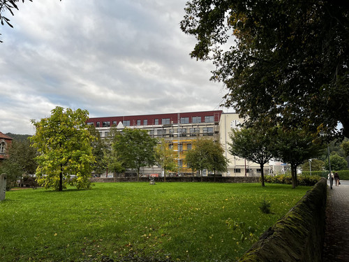 Blick von der Hainsberger Straße auf das Schulgebäude.