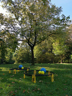 Man sieht einen Teil von einem Park mit grüner Wiese und grünen Bäume im Hintergrund. Auf der Wiese stehen zwei Spikeball Sets mit Bällen