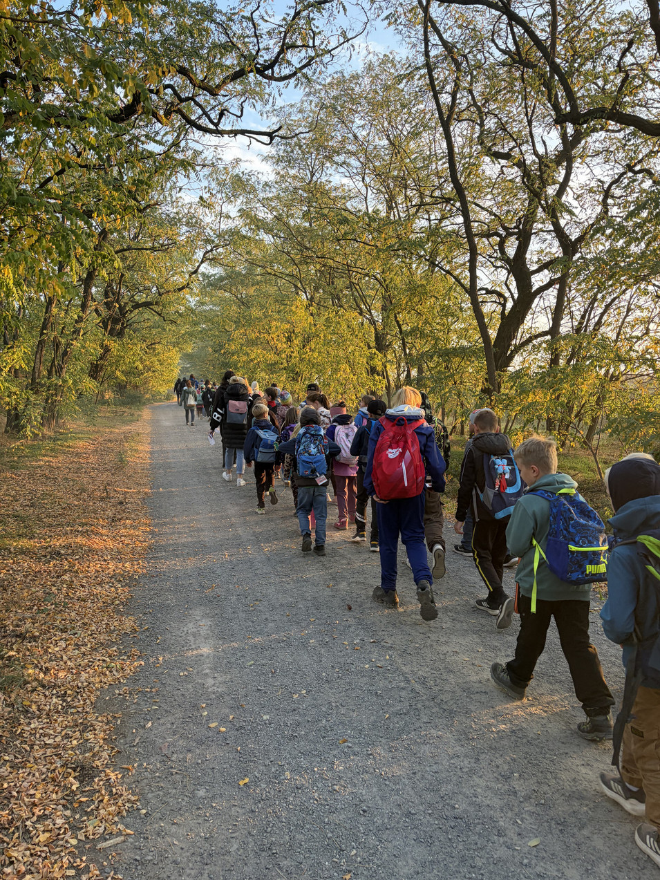 Die ganze Schule war im Wald unterwegs.