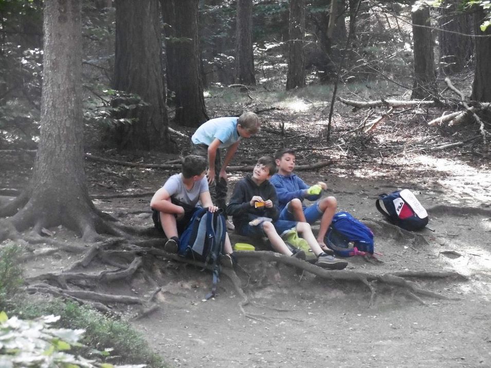 Der Wald ruft Oberschule Anne Frank