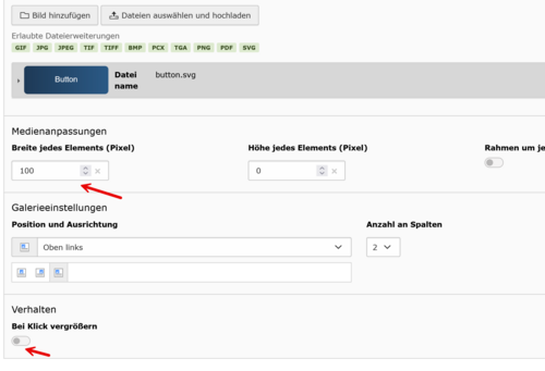 Screenshot von den Bildeinstellungen für die Grafik button.svg 