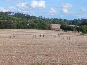 Feld und Landschaft in Sohland