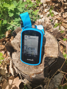 GPS-Gerät auf Baumstamm im Wald