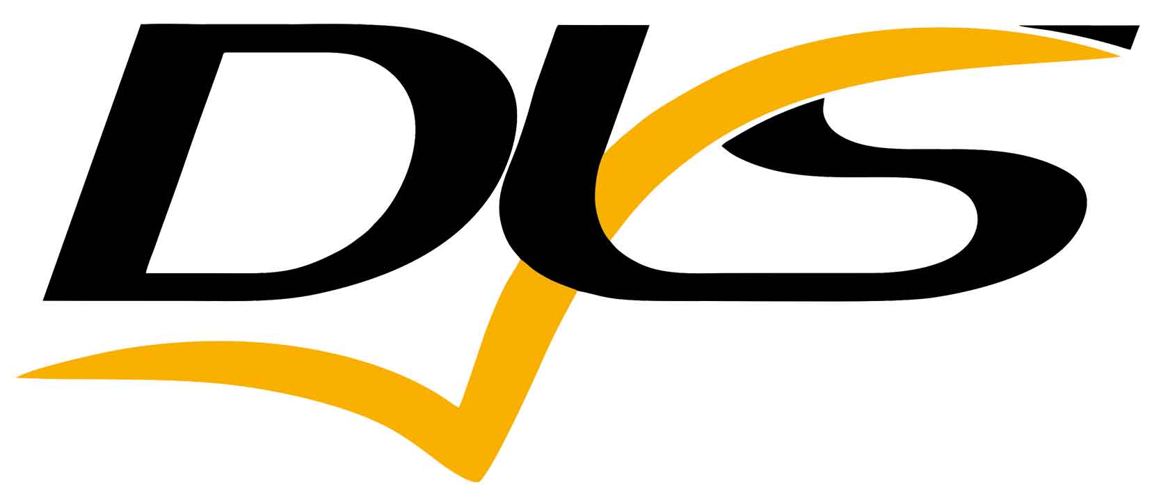 Logo DLS