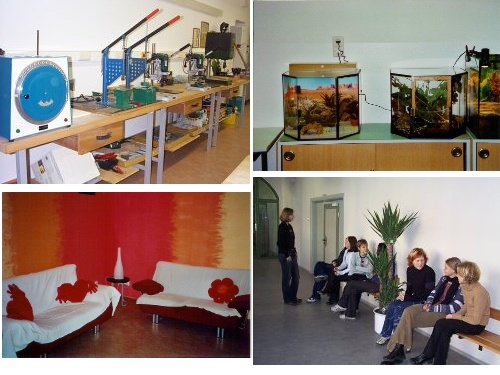 schulhausgest